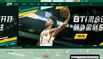 net模板13