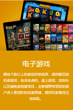 agapi接口电子游戏